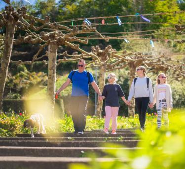 Family walking under trees and down steps